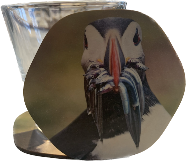 Wooden Coasters with Highlights of Iceland Wooden Coasters with Highlights of Iceland